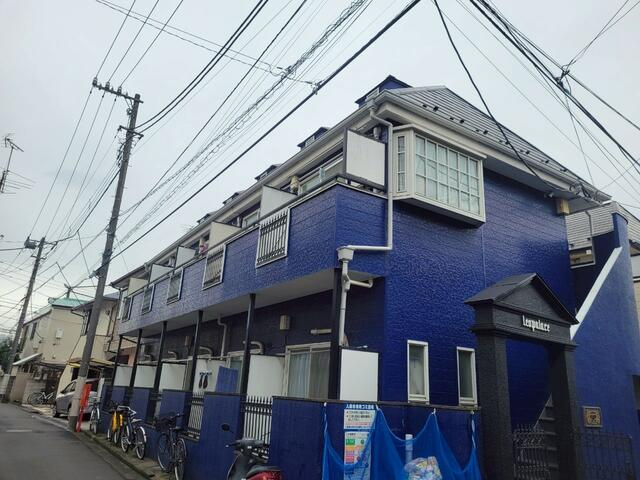 ブルーパレスマリンの画像