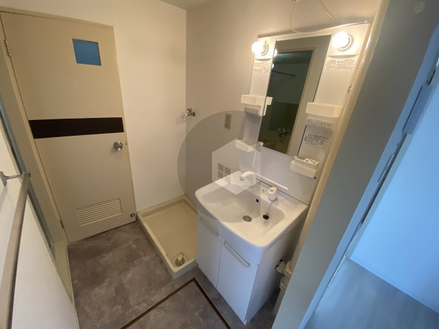 シャンポール東大阪の洗面所