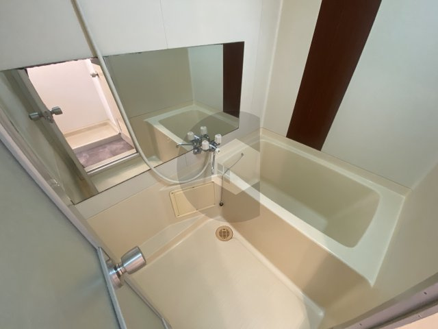 シャンポール東大阪の浴室