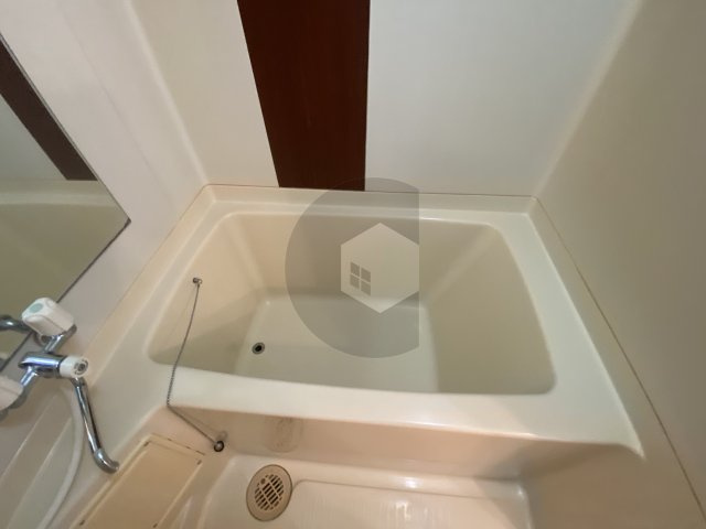 シャンポール東大阪の浴室