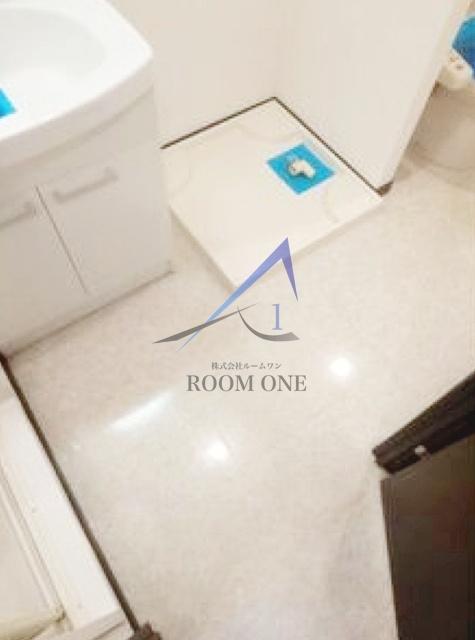 ル・リオン東京アクアサイドの設備|洗濯機置き場です。