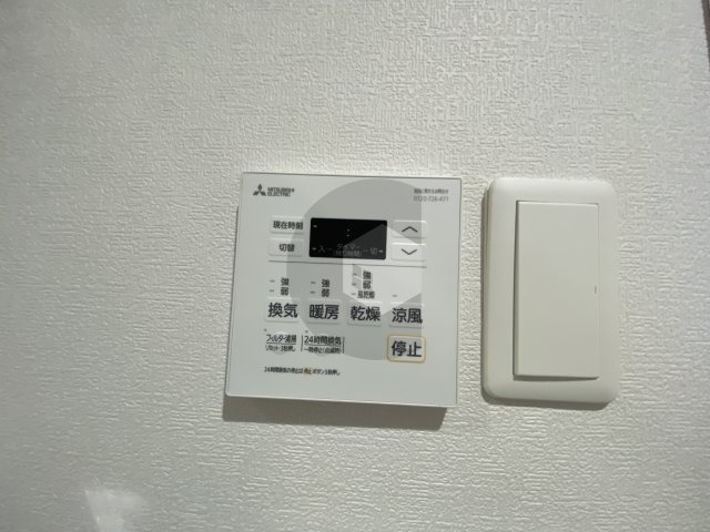 サクラリヴァーのその他