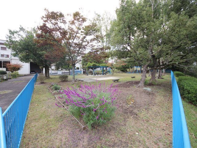 奈良市帝塚山６丁目の賃貸マンションの庭