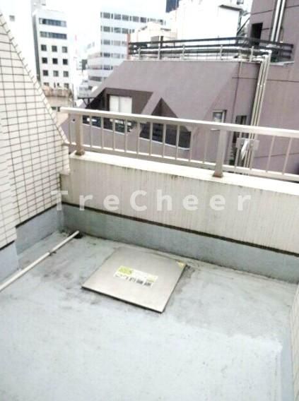 デュオスカーラ御茶ノ水Ⅱのバルコニー