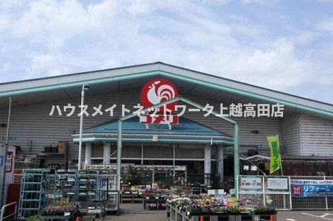 スターウイングの周辺|周辺施設