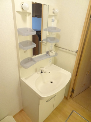 【独立洗面台】 | メゾンドシャルマン(D-ROOM) | 他号室参考写真