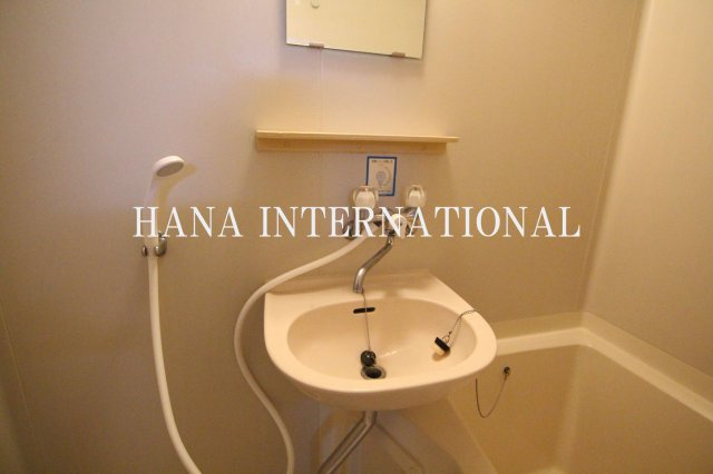 ルピナスの洗面所