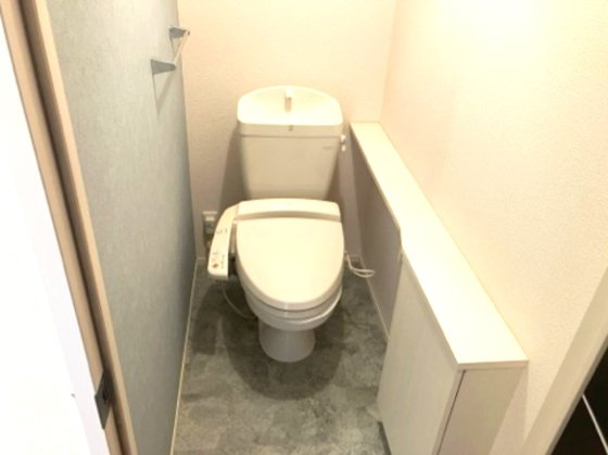 ウィルモアＭ２のトイレ
