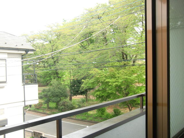 窓外は大きな公園です