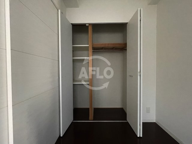 ランドセントラル梅田の収納|ランドセントラル梅田　クローゼット