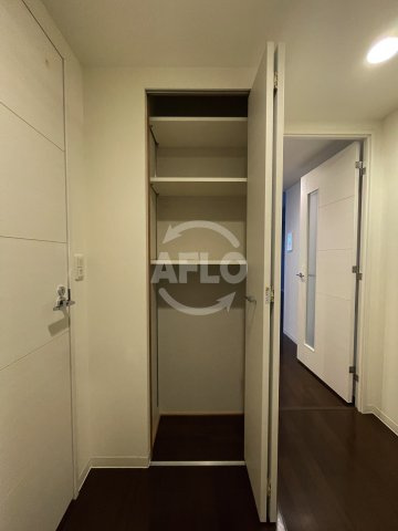 ランドセントラル梅田の収納|ランドセントラル梅田　クローゼット（玄関前）