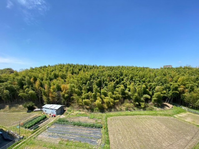 【展望】 | プランドール桃山