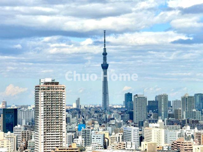 【展望】 | シティタワーズ豊洲 ザ・ツインノースタワー | 手を伸ばせば、ふれることが出来そうな環境が、そのままインテリアになったような印象です。その豊かな眺望にふさわしい空間には、通風・採光にも優れ、心地よい光と風があふれています