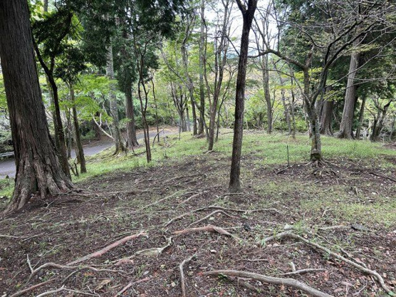 【外観】 | 東急天城高原別荘地　売地