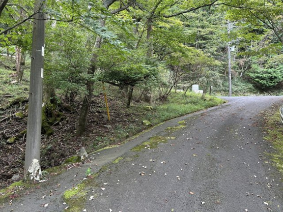 【前面道路含む現地写真】 | 東急天城高原別荘地　売地