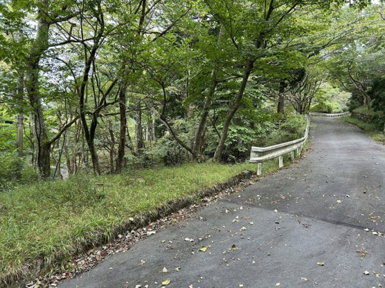 【前面道路含む現地写真】 | 東急天城高原別荘地　売地