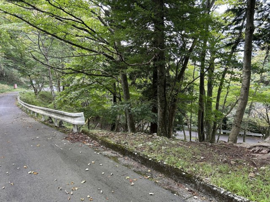 【前面道路含む現地写真】 | 東急天城高原別荘地　売地