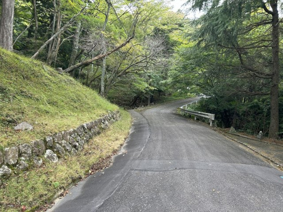 【前面道路含む現地写真】 | 東急天城高原別荘地　売地