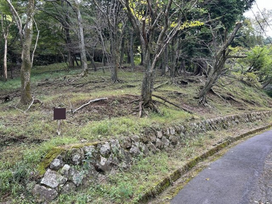 【外観】 | 東急天城高原別荘地　売地