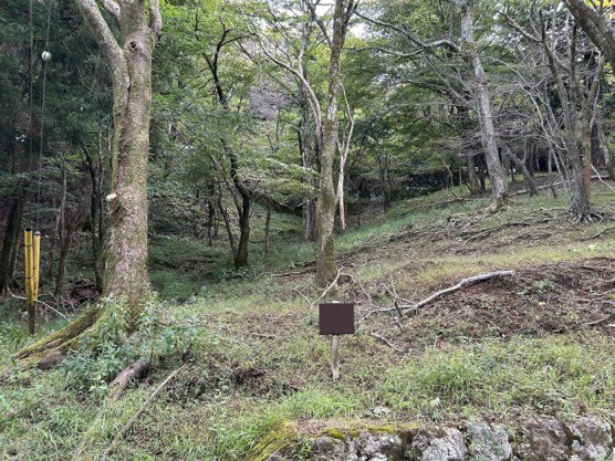【外観】 | 東急天城高原別荘地　売地