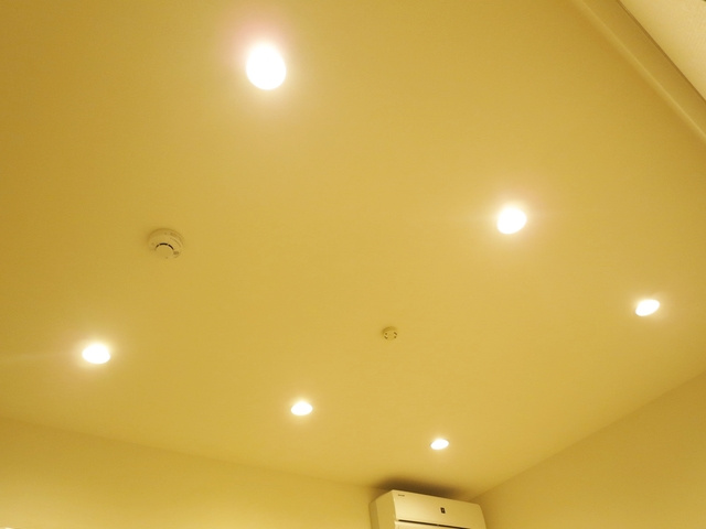 リブリ・グリーン東新小岩の設備|間接照明洋室についております。