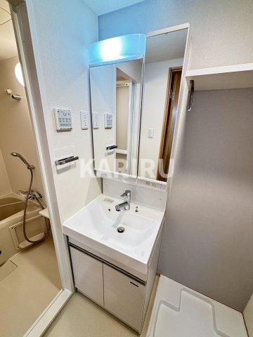 ファーストフィオーレ北大阪リアンの洗面所