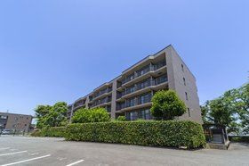 Ｔ　ｓ　ｇａｒｄｅｎ横浜反町