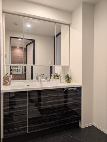 S-RESIDENCE藤崎balmの洗面所