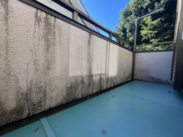 【バルコニー】 | 寄居町大字露梨子　中古戸建