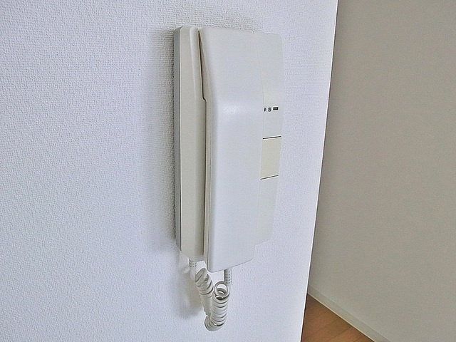 ＬＡＮＡＩ　ＣＯＵＲＴ　２５の設備|ドアホンです。