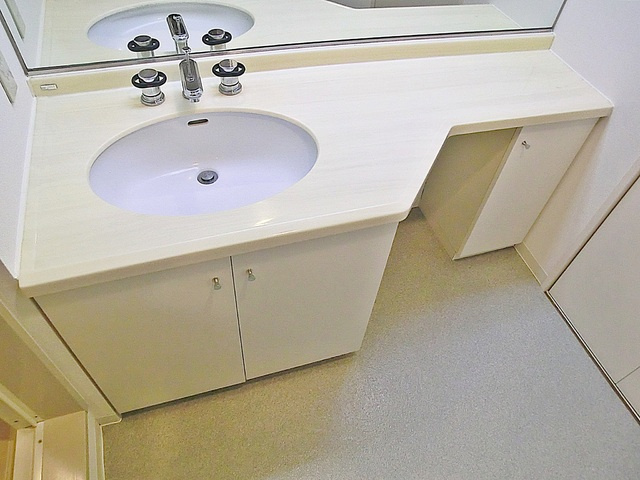 ＬＡＮＡＩ　ＣＯＵＲＴ　２５の洗面所|洗面台です。