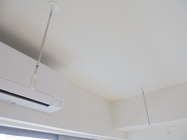 ルミナスのその他