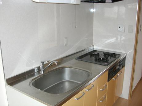 レージュ川原通のキッチン