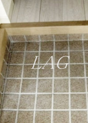 【玄関】 | アドバンテージ府中 | 玄関です。