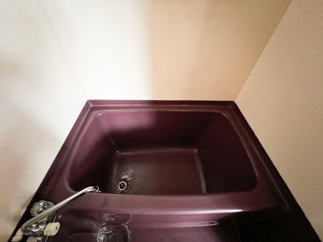 高の森コーポの浴室