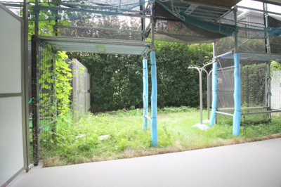 【庭】 | サンクレイドル玉川上水