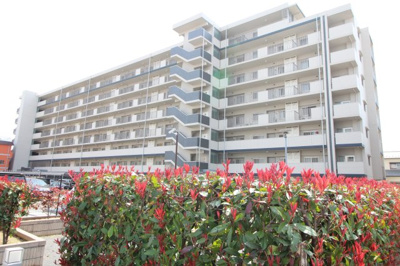 【外観】 | サンクレイドル玉川上水