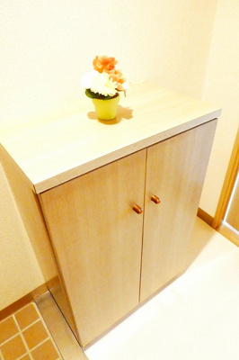 【玄関】 | ダイアパレス平和通り | シューズBOX付　※室内写真は賃貸入居前に撮影したものです。現況優先。