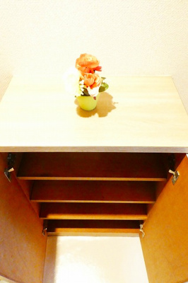 【内装】 | ダイアパレス平和通り | 玄関回りも片付きます　※室内写真は賃貸入居前に撮影したものです。現況優先。