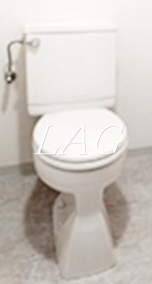 【トイレ】 | リンズハウス | トイレ(同仕様)です。