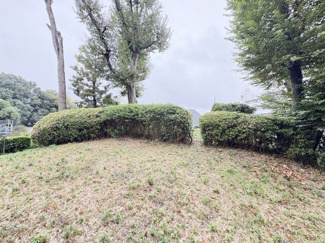 【展望】 | お部屋からの眺望。バルコニーからの景色です～即日のご見学可能～　お問合せはお気軽にどうぞ。
