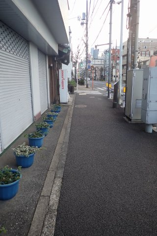 サニーハイム目白台の周辺