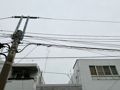 【その他】 | リマーブルヒラタ