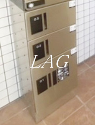 【その他】 | ＦＩＣＡＳＡ菖蒲園