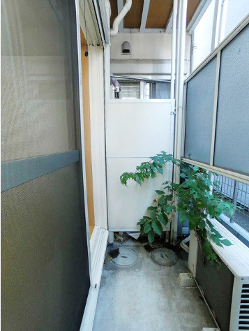 メゾン・ド・セザール　敷金礼金0　駅近　TVドアフォンのバルコニー