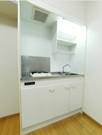 メゾン・ド・セザール　敷金礼金0　駅近　TVドアフォンのキッチン