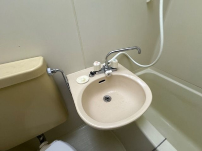 【洗面所】 | アレイパピヨン