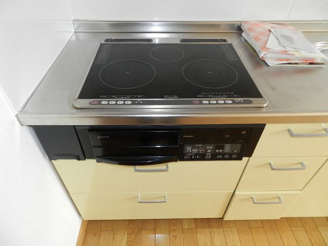 Ｌ．Ｆｉｒｓｔ　Ｃｏｕｒｔのその他