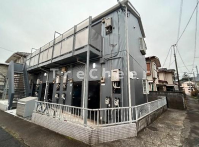 【その他】 | サルビア