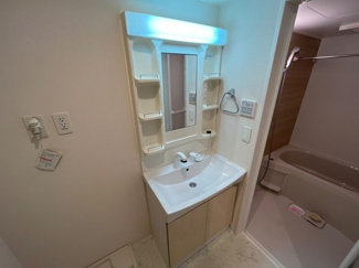 【洗面所】 | サン　フォレストⅡ